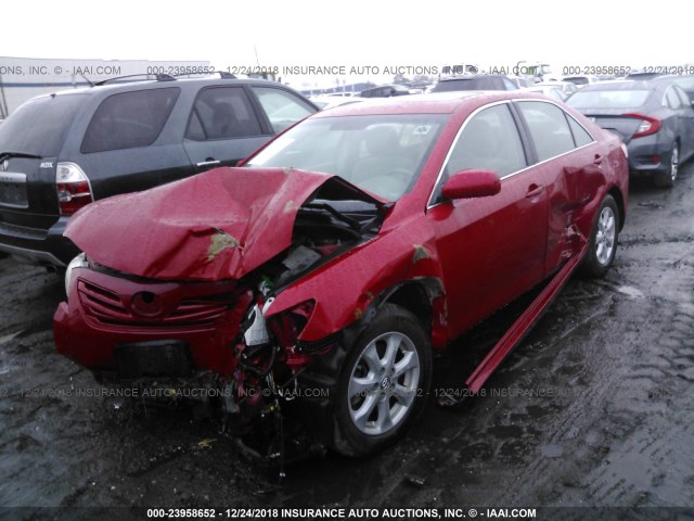 4T4BE46K57R010134 - 2007 TOYOTA CAMRY NEW GENERAT CE/LE/XLE/SE RED photo 2