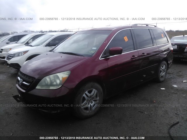 5FNRL38725B007235 - 2005 HONDA ODYSSEY EXL RED photo 2