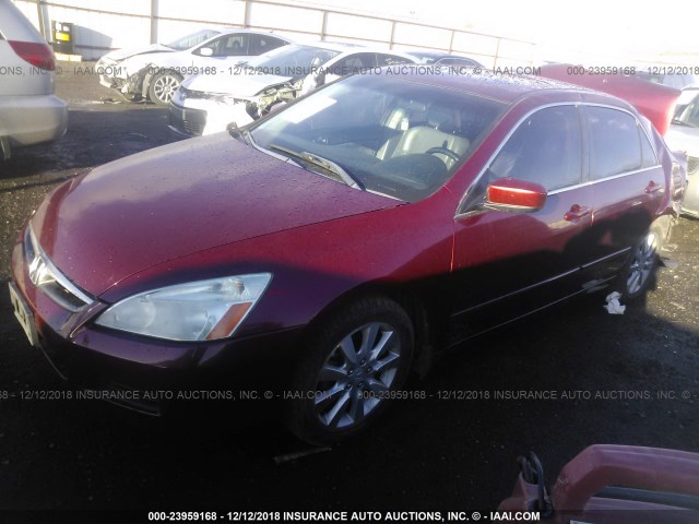 1HGCM66556A052767 - 2006 HONDA ACCORD EX MAROON photo 2