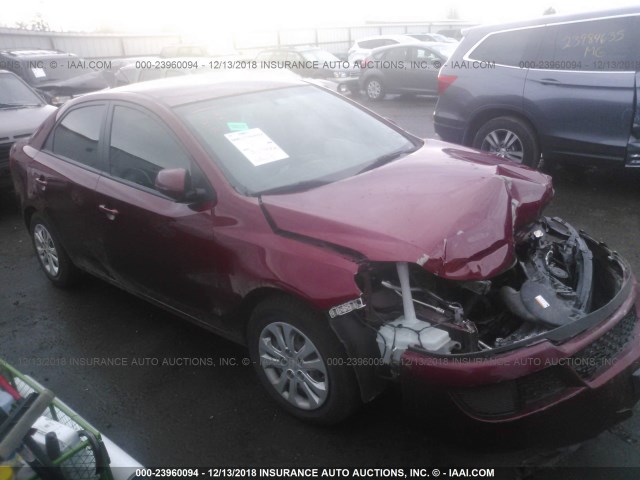 KNAFU4A2XB5317339 - 2011 KIA FORTE EX RED photo 1