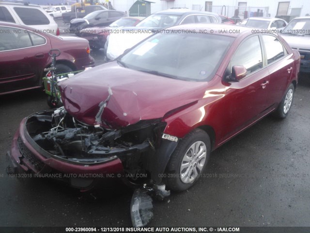 KNAFU4A2XB5317339 - 2011 KIA FORTE EX RED photo 2