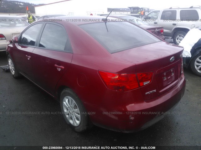 KNAFU4A2XB5317339 - 2011 KIA FORTE EX RED photo 3