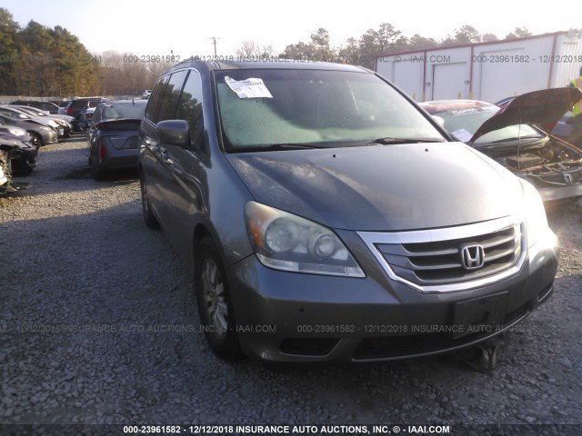 5FNRL38609B012303 - 2009 HONDA ODYSSEY EXL GRAY photo 1