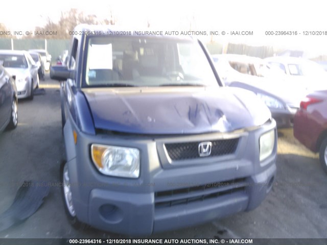 5J6YH28593L049458 - 2003 HONDA ELEMENT EX BLUE photo 6