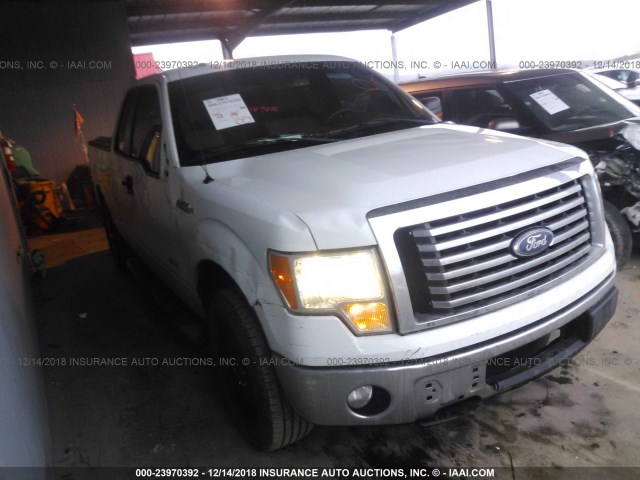 1FTFX1CT6BFA55926 - 2011 FORD F150 SUPER CAB WHITE photo 1