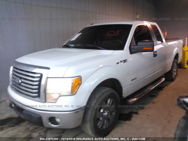 1FTFX1CT6BFA55926 - 2011 FORD F150 SUPER CAB WHITE photo 2