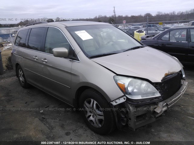 5FNRL38756B455017 - 2006 HONDA ODYSSEY EXL GOLD photo 1