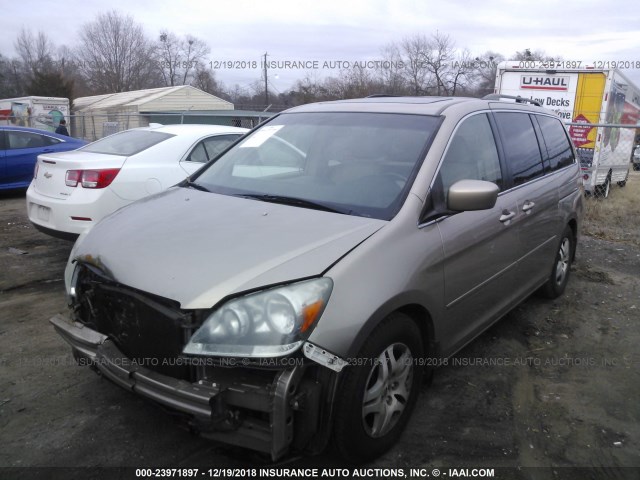 5FNRL38756B455017 - 2006 HONDA ODYSSEY EXL GOLD photo 2