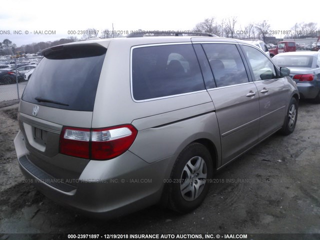 5FNRL38756B455017 - 2006 HONDA ODYSSEY EXL GOLD photo 4