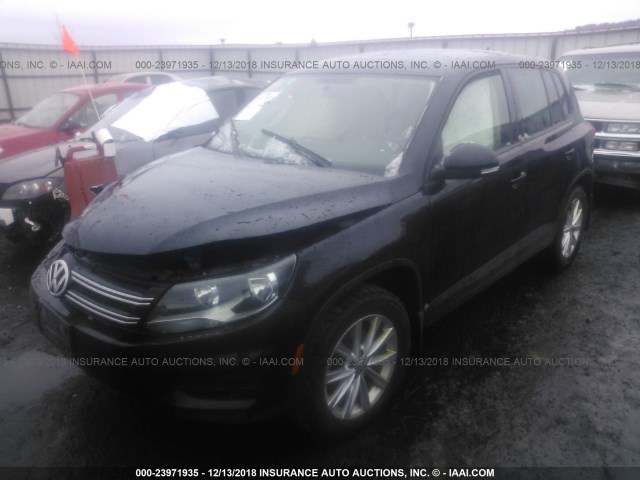 WVGBV3AX9EW546173 - 2014 VOLKSWAGEN TIGUAN S/SE/SEL/R-LINE BLACK photo 2