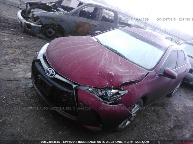 4T1BF1FK6GU588281 - 2016 TOYOTA CAMRY LE/XLE/SE/XSE წითელი ფოტო 2