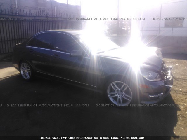 WDDGF4HB9DA849284 - 2013 MERCEDES-BENZ C 250 GRAY photo 1