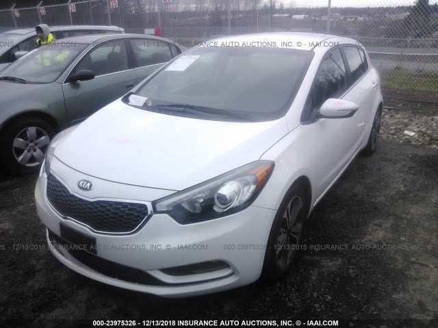 KNAFX5A8XG5502774 - 2016 KIA FORTE EX WHITE photo 2