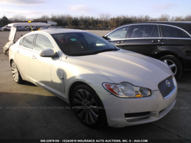 SAJWA05B09HR11074 - 2009 JAGUAR XF LUXURY WHITE photo 1