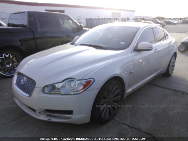 SAJWA05B09HR11074 - 2009 JAGUAR XF LUXURY WHITE photo 2