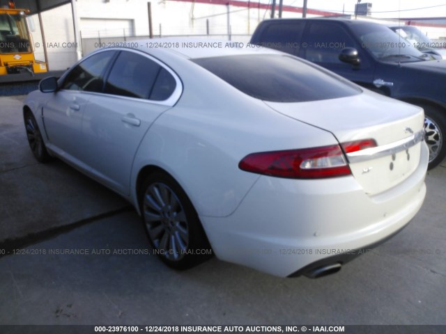 SAJWA05B09HR11074 - 2009 JAGUAR XF LUXURY WHITE photo 3