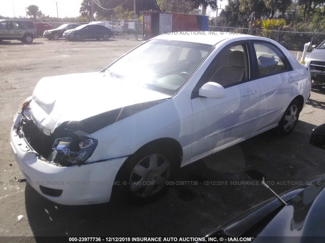 KNAFE221895668266 - 2009 KIA SPECTRA EX/LX/SX WHITE photo 2