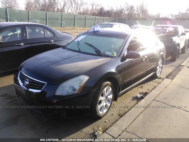 1N4BA41E07C803817 - 2007 NISSAN MAXIMA SE/SL BLACK photo 2