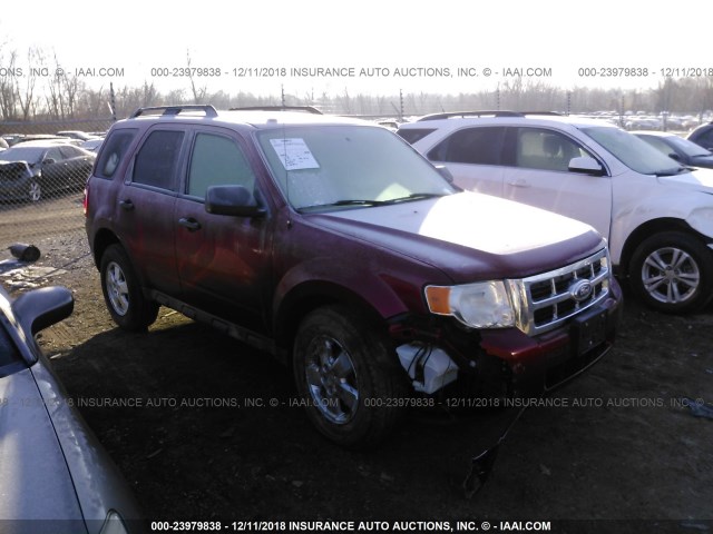 1FMCU0DG7CKA58331 - 2012 FORD ESCAPE XLT RED photo 1