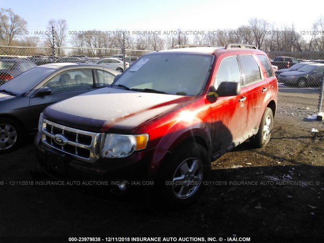 1FMCU0DG7CKA58331 - 2012 FORD ESCAPE XLT RED photo 2