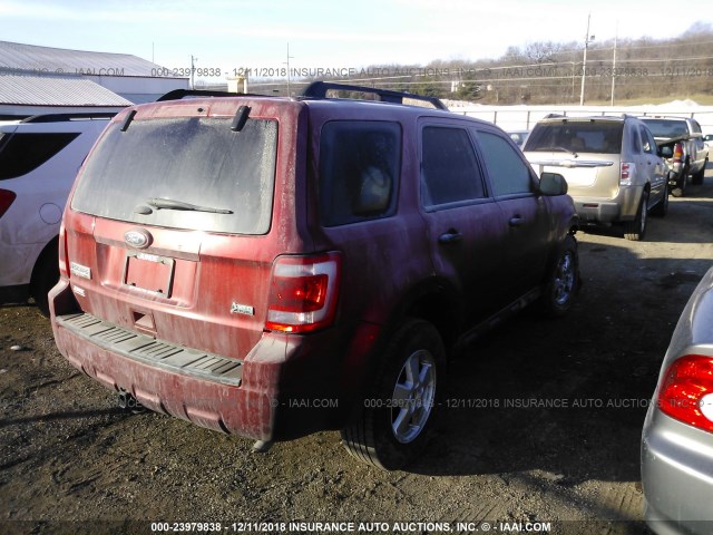 1FMCU0DG7CKA58331 - 2012 FORD ESCAPE XLT RED photo 4