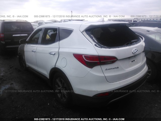 5XYZT3LB6DG044372 - 2013 HYUNDAI SANTA FE SPORT  WHITE photo 3