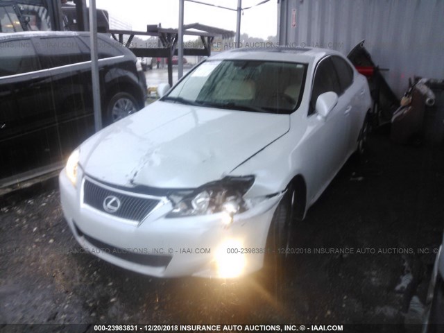 JTHBF5C27B5141718 - 2011 LEXUS IS 250 WHITE photo 2