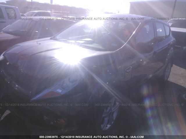 1FMCU0F74GUA16299 - 2016 FORD ESCAPE S GRAY photo 2