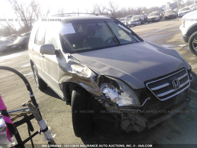 JHLRD78925C050334 - 2005 HONDA CR-V SE/EX GOLD photo 1