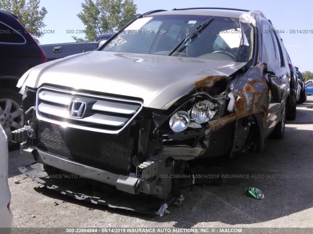 JHLRD78925C050334 - 2005 HONDA CR-V SE/EX GOLD photo 6