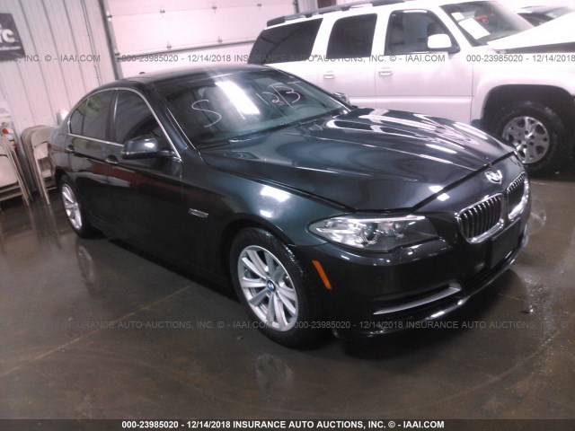 WBA5A7C5XED612075 - 2014 BMW 528 XI GRAY photo 1