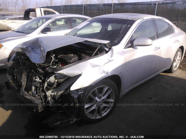 1N4AA5AP8BC833840 - 2011 NISSAN MAXIMA S/SV SILVER photo 2