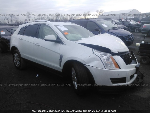 3GYFNDEY5AS576186 - 2010 CADILLAC SRX LUXURY COLLECTION CREAM photo 1