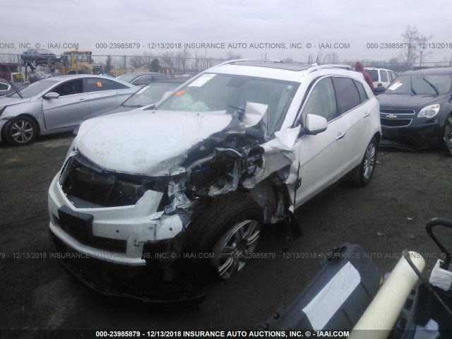 3GYFNDEY5AS576186 - 2010 CADILLAC SRX LUXURY COLLECTION CREAM photo 2