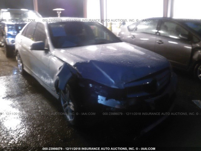 WDDGF4HBXDR295898 - 2013 MERCEDES-BENZ C 250 SILVER photo 1