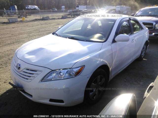 4T4BE46K69R125490 - 2009 TOYOTA CAMRY SE/LE/XLE WHITE photo 2