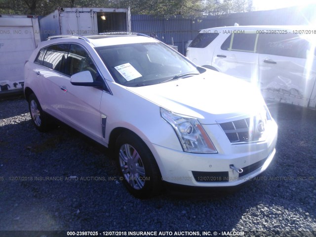 3GYFNAEY9BS541764 - 2011 CADILLAC SRX LUXURY COLLECTION WHITE photo 1