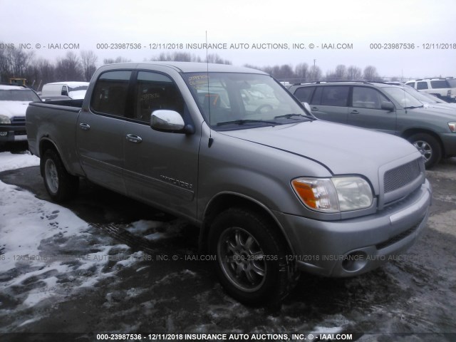 5TBDT44186S533022 - 2006 TOYOTA TUNDRA DOUBLE CAB SR5 GRAY photo 1