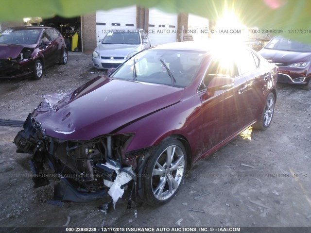 JTHBF5C25A5122079 - 2010 LEXUS IS 250 RED photo 2