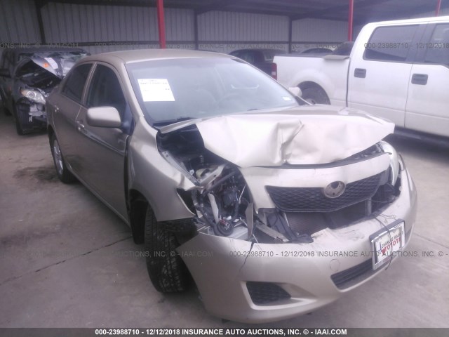 1NXBU4EE6AZ325685 - 2010 TOYOTA COROLLA S/LE/XLE GOLD photo 1