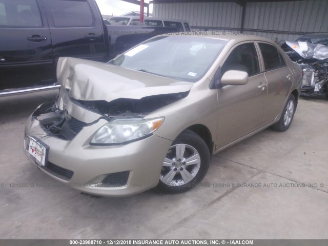 1NXBU4EE6AZ325685 - 2010 TOYOTA COROLLA S/LE/XLE GOLD photo 2