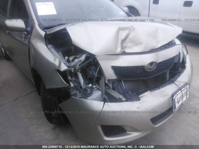 1NXBU4EE6AZ325685 - 2010 TOYOTA COROLLA S/LE/XLE GOLD photo 6