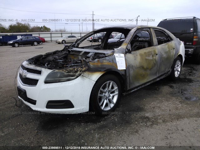 1G11D5RRXDF107916 - 2013 CHEVROLET MALIBU 1LT 白色 照片 2