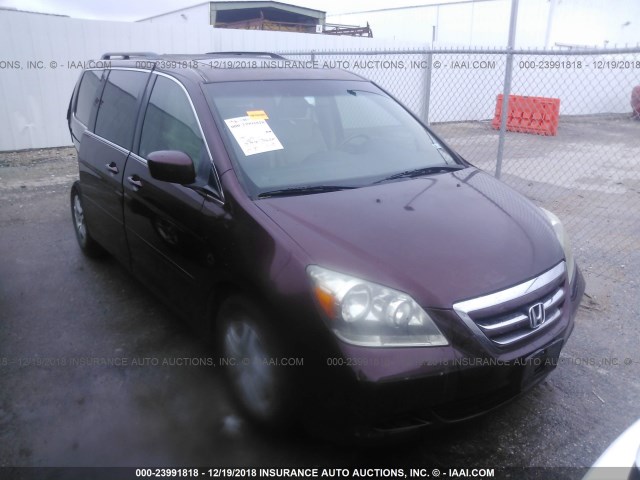 5FNRL38627B459339 - 2007 HONDA ODYSSEY EXL MAROON photo 1