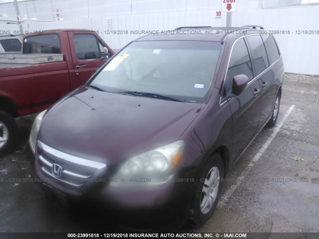 5FNRL38627B459339 - 2007 HONDA ODYSSEY EXL MAROON photo 2