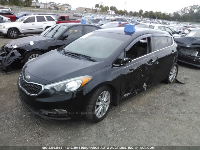 KNAFX5A89F5317646 - 2015 KIA FORTE EX BLACK photo 2