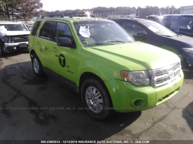 1FMCU49399KA89764 - 2009 FORD ESCAPE HYBRID GREEN photo 1