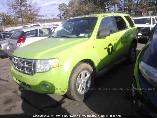 1FMCU49399KA89764 - 2009 FORD ESCAPE HYBRID GREEN photo 2