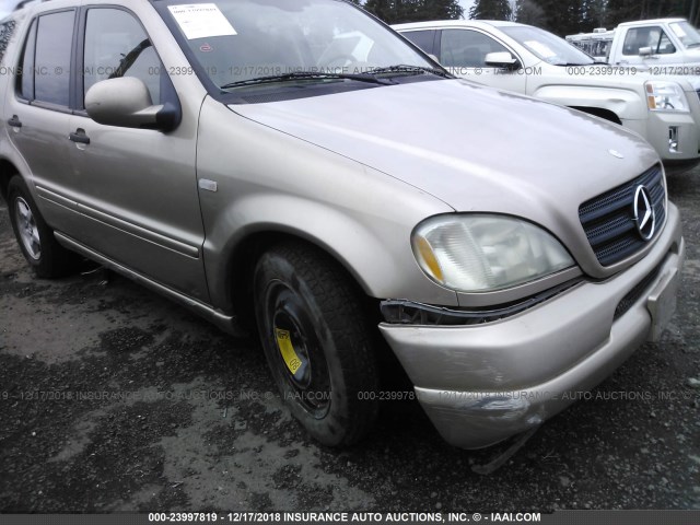 4JGAB54E31A260613 - 2001 MERCEDES-BENZ ML 320 BEIGE photo 6