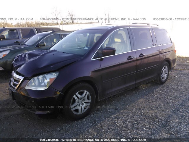 5FNRL38747B426884 - 2007 HONDA ODYSSEY EXL BURGUNDY photo 2